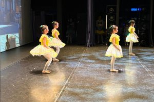 Coppelia6